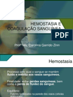 Hemostasia e Coagulacao Sanguinea Apostilas Bio Medicina Parte1