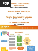 Tarea 9 Comunicacion y Liderazgo