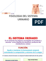 Fisiologia Del Sistema Urinario