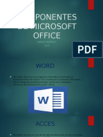 Componentes de Microsoft Office