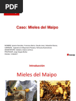 Calidad y Mejora Continua-Mieles Del Maipo