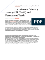 Differences Between Primary Teeth (Milk Teeth) and Permanent Teeth