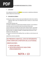 Néctar Mixto de Maracuya y Tuna Procesos 13