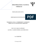 Desarrollo de La Comprensión Verbal en Un Adolescente Limítrofe, PDF