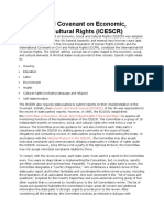 International Covenant On Economic, Social Rights