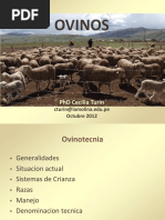 Ovinos PDF