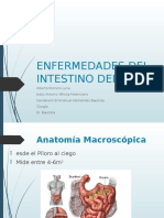 Patologias de Intestino Delgado