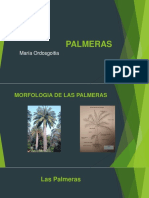 Palmeras