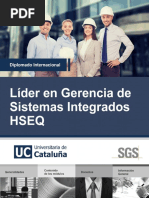 Contenido Programatico HSEQ