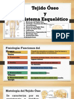 5a Anatomia Sistema Oseo