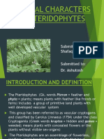 General Characters of Pteridophytes: Submitted By: Shafaque Waheed Submitted To: Dr. Ashutosh