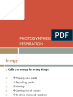 Photosynthesis & Respiration