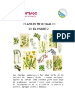 Plantas Medicinales En34 El Huerto