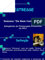 Estresse Slides