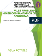 Principales Problemas Higiénicos Sanitarios de La Comunidad