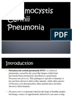 Pneumocytis Carinii Pneumonia