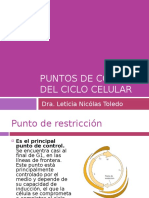 Puntos de Restricción