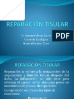 05 Reparación Tisular