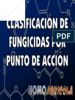 Fungicidas Clasificados Puntos Accion