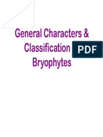 Gen CHR, Classificatn Bryo