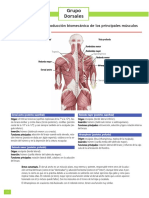 Ejecrcicios Gimnasio Dorsales