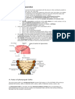 I. Pharyngeal Apparatus: A. Fates of Pharyngeal Clefts