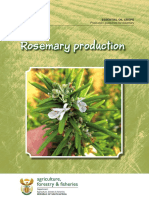 Prod Guide Rosemary