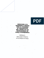 Seguridad & Higiene Contratistas Pemex