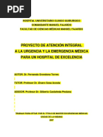 Proyecto de Atencion Integral A Urgencias y Emergencias