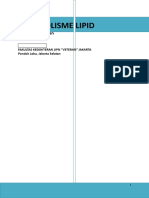 Metabolisme Lipid