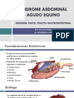 Clase 11. Tubo Digestivo Anatomia - Clase Full