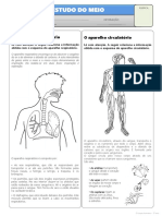 O Corpo Humano