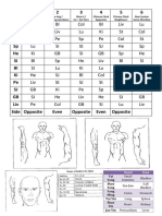 DR Tan Matrix V5