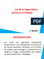 Normativa e Seguridad y Salud en El Trabajo PDF