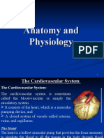 Anatomy and Physiology