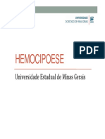 Histologia - Hemocipoiese