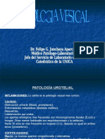 J. Patologia Vesical