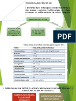 Inmunohistoquimica Cancer de Pulmon