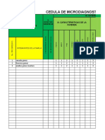 CEDULA DE MICRODIAGNOSTICO Vs DX COMUNITARIO PRACTICA