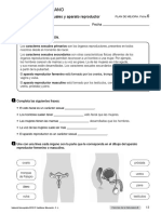 Plan Mejora Natu 6-13-14