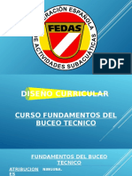 Diseño Curricular Fundis DEFINITIVO