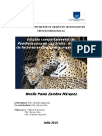 Panthera Onca PDF