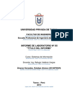 Modelo Informe Epis