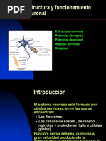 Estructura y Funcionamiento Neuronal.3 Medio