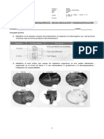 Guía N°1 Ciclos Biogeoquímicos y Bioacumulación Ii° 2017