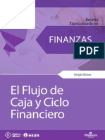 Flujo de Caja-ESAN PDF