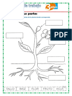 Tarea Miercoles 07