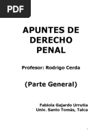 Derecho Penal Parte General1 Chile