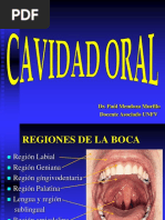 10.-Cavidad Oral y Fosas Nasales