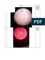 N O. Gambar Nama Organ 1. Ganglion Radiks Posterior